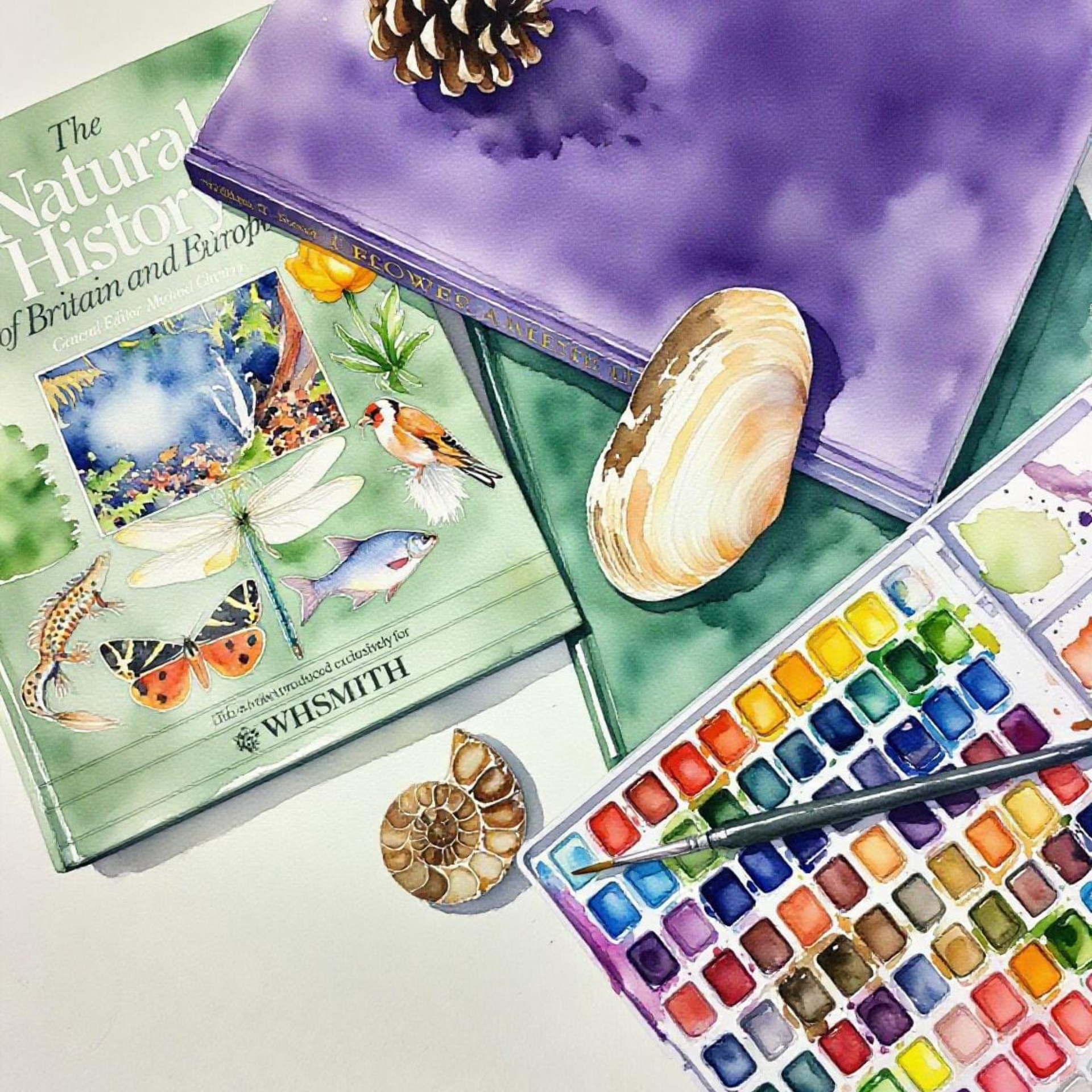 Art supplies including a watercolor book, watercolor pan set, and natural history book on a white surface.