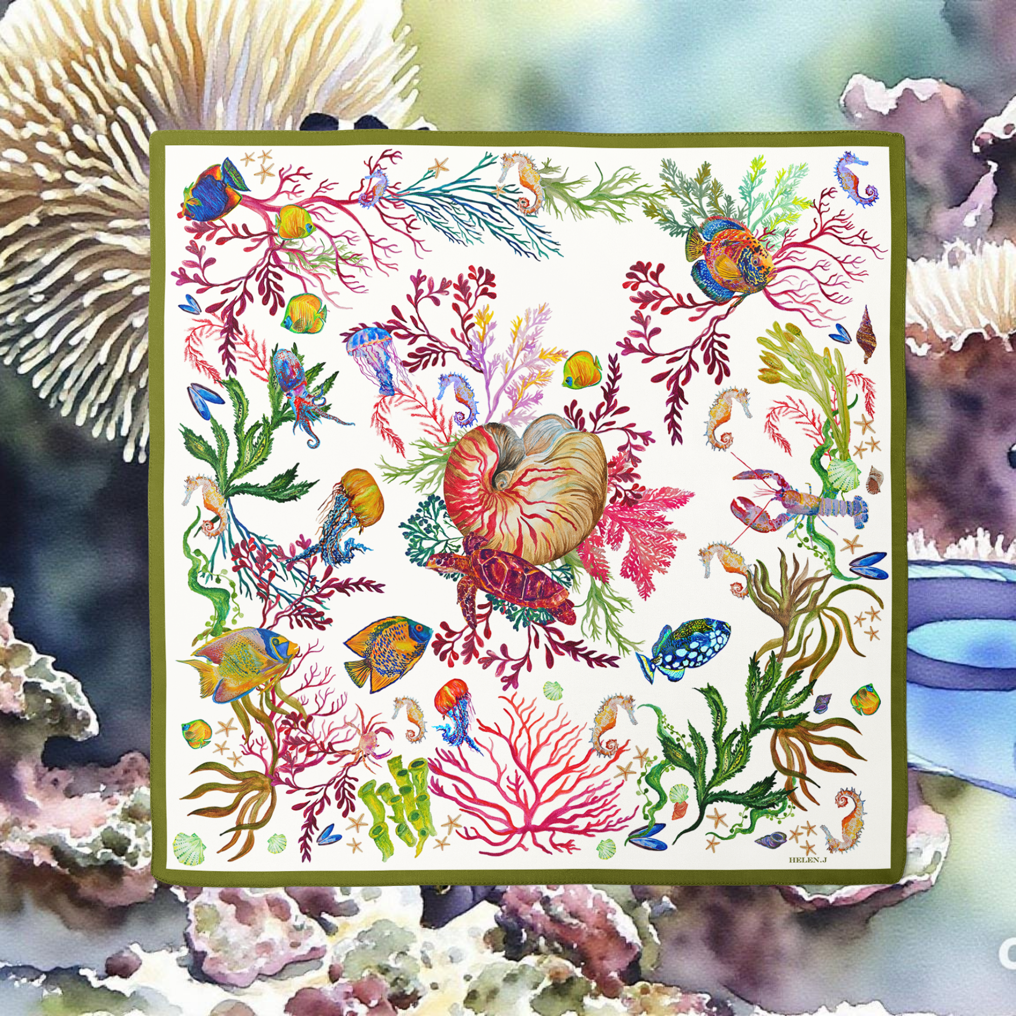 Colorful illustration of marine life and coral on a white background, surrounded by actual coral.